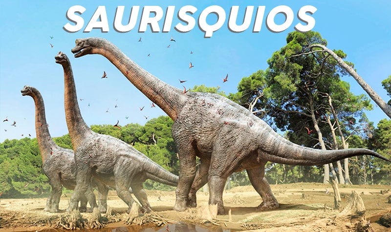 Tipos de Dinosaurios】▷ La clasificación de Dinousaurios más completa
