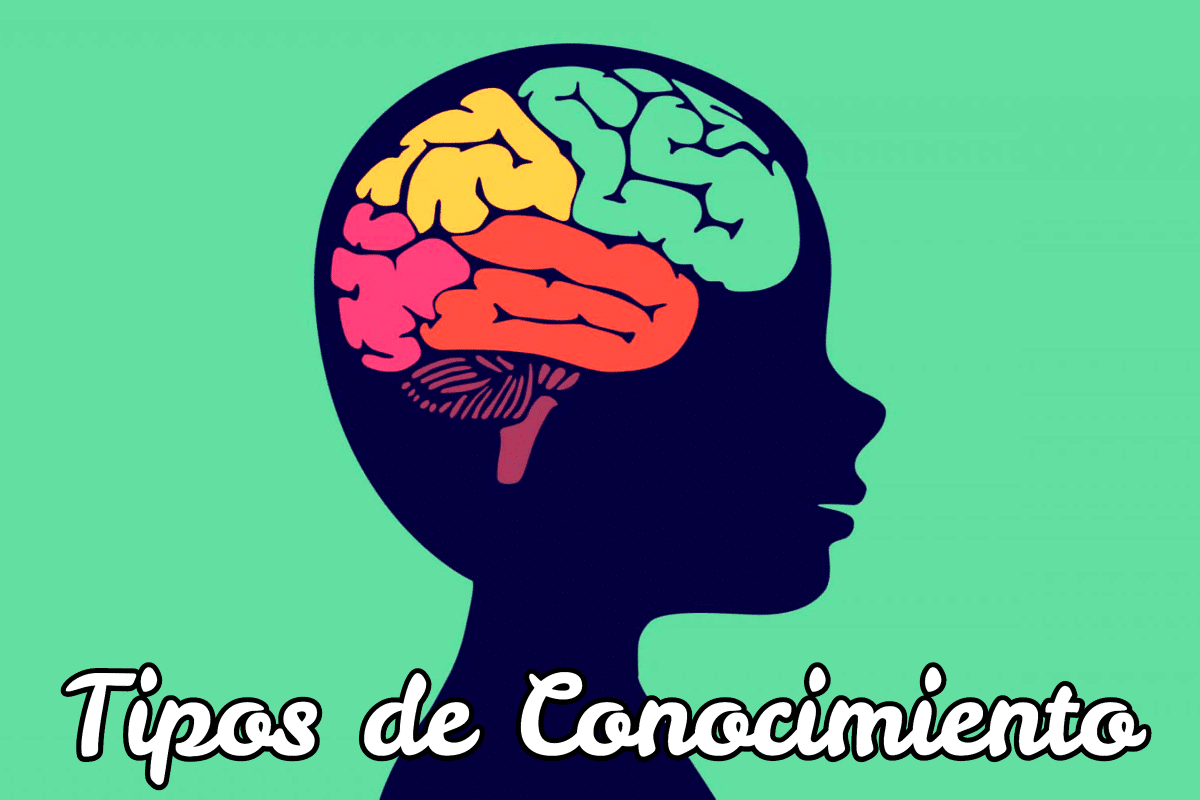 Tipos De Conocimiento Mind Map 4143