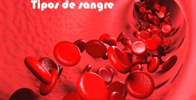 tipos de sangre
