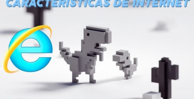 caracteristicas de internet