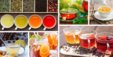 tipos de infusiones