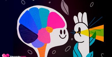 tipos de inteligencia